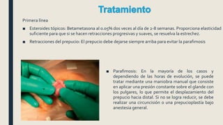Primera línea
■ Esteroides tópicos: Betametasona al 0.05% dos veces al día de 2-8 semanas. Proporciona elasticidad
suficiente para que si se hacen retracciones progresivas y suaves, se resuelva la estrechez.
■ Retracciones del prepucio: El prepucio debe dejarse siempre arriba para evitar la parafimosis
■ Parafimosis: En la mayoría de los casos y
dependiendo de las horas de evolución, se puede
tratar mediante una maniobra manual que consiste
en aplicar una presión constante sobre el glande con
los pulgares, lo que permite el desplazamiento del
prepucio hacia distal. Si no se logra reducir, se debe
realizar una circuncisión o una prepucioplastía bajo
anestesia general.
 