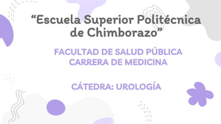 “Escuela Superior Politécnica
de Chimborazo”
FACULTAD DE SALUD PÚBLICA
CARRERA DE MEDICINA
CÁTEDRA: UROLOGÍA
 