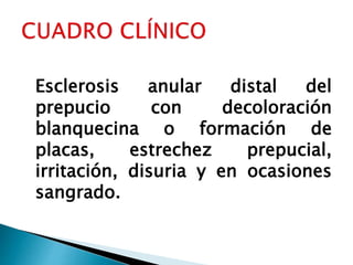 Esclerosis anular distal del
prepucio con decoloración
blanquecina o formación de
placas, estrechez prepucial,
irritación, disuria y en ocasiones
sangrado.
 