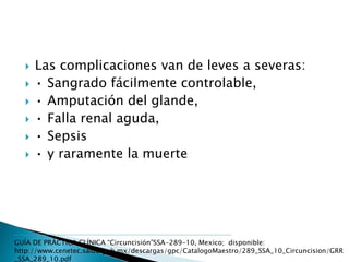  Las complicaciones van de leves a severas:
 • Sangrado fácilmente controlable,
 • Amputación del glande,
 • Falla renal aguda,
 • Sepsis
 • y raramente la muerte
GUÍA DE PRÁCTICA CLÍNICA “Circuncisión”SSA-289-10, Mexico; disponible:
http://www.cenetec.salud.gob.mx/descargas/gpc/CatalogoMaestro/289_SSA_10_Circuncision/GRR
_SSA_289_10.pdf
 