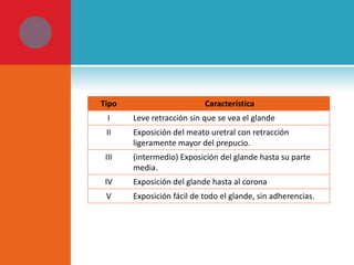 Tipo

Característica

I

Leve retracción sin que se vea el glande

II

Exposición del meato uretral con retracción
ligeramente mayor del prepucio.

III

(intermedio) Exposición del glande hasta su parte
media.

IV

Exposición del glande hasta al corona

V

Exposición fácil de todo el glande, sin adherencias.

 