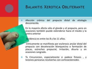 B ALANITIS X EROTICA O BLITERANTE


Afección crónica del prepucio distal de etiología
desconocida.



En la mayoría afecta sólo el glande y el prepucio, pero en
ocasiones también puede extenderse hacia el meato y la
uretra anterior



Incidencia es entre los 8 y los 11 años.



Clínicamente se manifiesta por esclerosis anular distal del
prepucio con decoloración blanquecina o formación de
placas, estrechez prepucial, irritación, disuria y en
ocasiones sangrado.



Tx Circunsicion, especialmente si padece fimosis , y
lesiones peneanas resolverlas con corticoesteroides

 