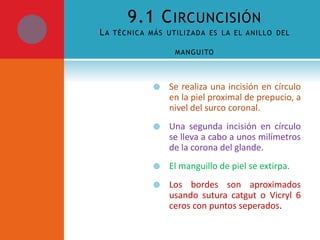 9.1 C IRCUNCISIÓN
LA

TÉC NIC A MÁS UTILIZ A D A ES LA EL ANIL LO D EL
MANGU ITO



Se realiza una incisión en círculo
en la piel proximal de prepucio, a
nivel del surco coronal.



Una segunda incisión en círculo
se lleva a cabo a unos milímetros
de la corona del glande.



El manguillo de piel se extirpa.



Los bordes son aproximados
usando sutura catgut o Vicryl 6
ceros con puntos seperados.

 