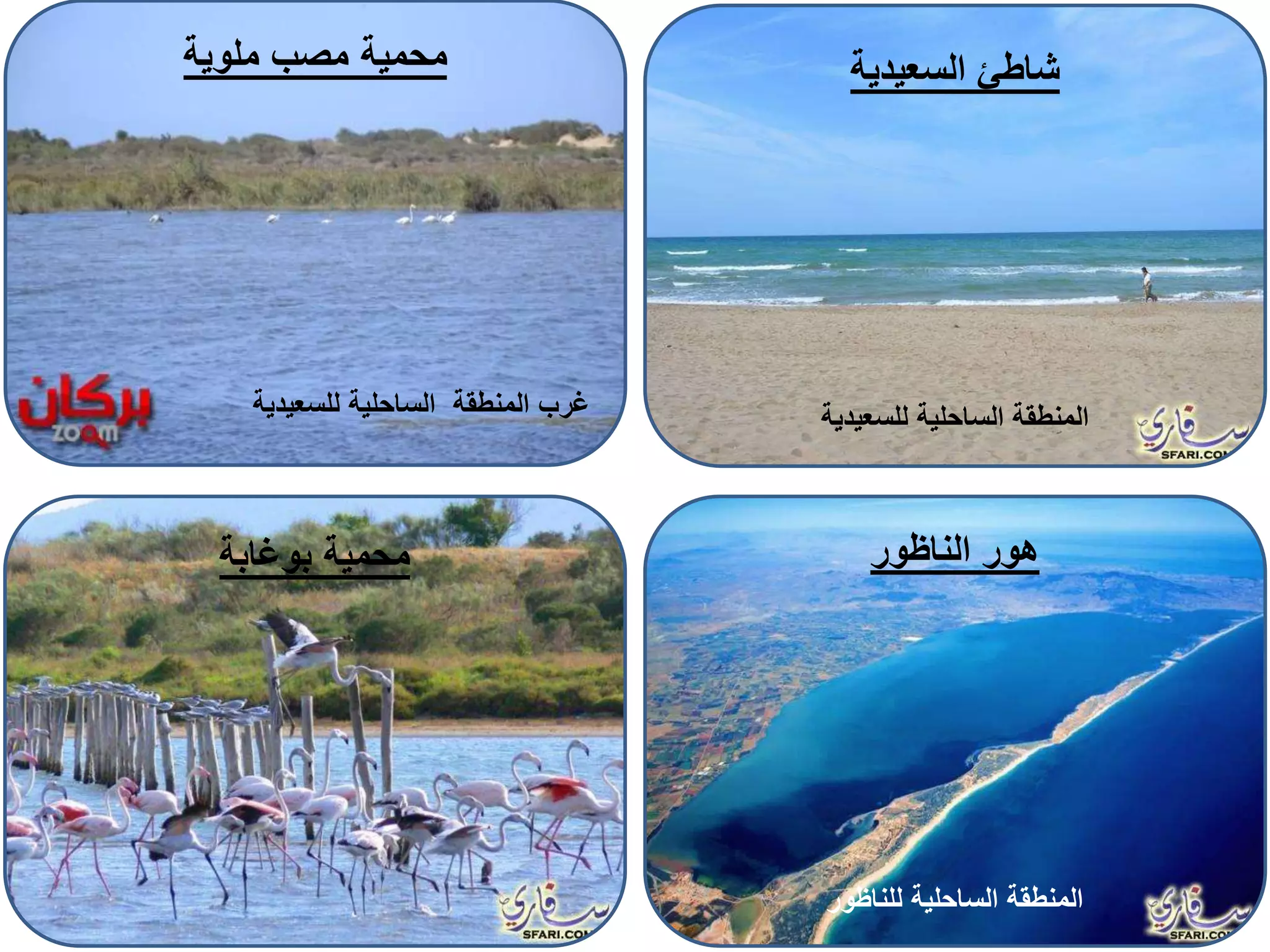 ‫السعيدية‬ ‫شاطئ‬
‫للسعيدية‬ ‫الساحلية‬ ‫المنطقة‬
‫ملوية‬ ‫مصب‬ ‫محمية‬
‫للسعيدية‬ ‫الساحلية‬ ‫المنطقة‬ ‫غرب‬
‫محمية‬‫بوغابة‬ ‫الناظور‬ ‫هور‬
‫للناظور‬ ‫الساحلية‬ ‫المنطقة‬
 