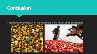 Conclusion
- Agricultural products in Vietnam are very much and affordable
 