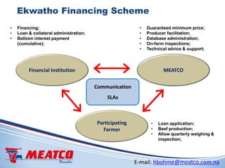 Testing innovations in livestock and dairy value chain finance: Insights from east and southern Africa