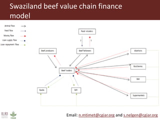 Testing innovations in livestock and dairy value chain finance: Insights from east and southern Africa