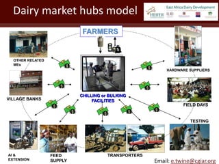 Testing innovations in livestock and dairy value chain finance: Insights from east and southern Africa