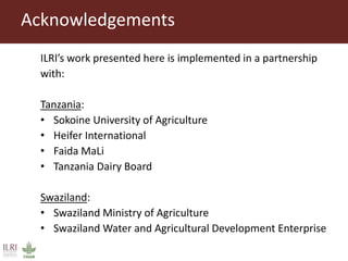 Testing innovations in livestock and dairy value chain finance: Insights from east and southern Africa