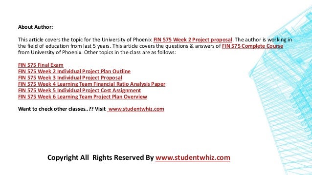 fin 575 week 2 project plan outline