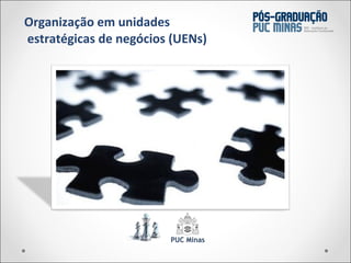 Organização em unidades  estratégicas de negócios (UENs) 