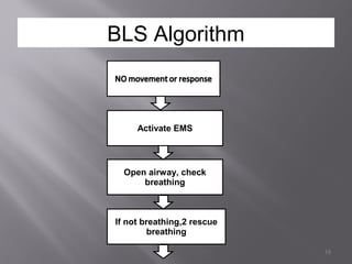 Bls Two Rescue Algorithm basic life support | PPT
