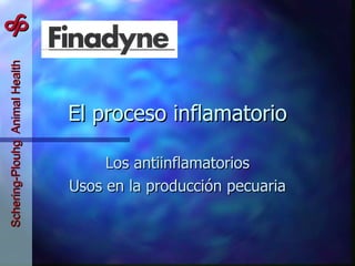 El proceso inflamatorio Los antiinflamatorios Usos en la producción pecuaria 