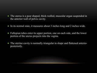  The uterus is a pear shaped, thick-walled, muscular organ suspended in
the anterior wall of pelvic cavity.
 In its normal state, it measures about 3 inches long and 2 inches wide.
 Fallopian tubes enter its upper portion, one on each side, and the lower
portion of the uterus projects into the vagina.
 The uterine cavity is normally triangular in shape and flattened anterio-
posteriorly.
 