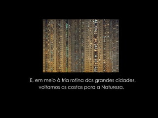 E, em meio à fria rotina das grandes cidades, voltamos as costas para a Natureza.  
