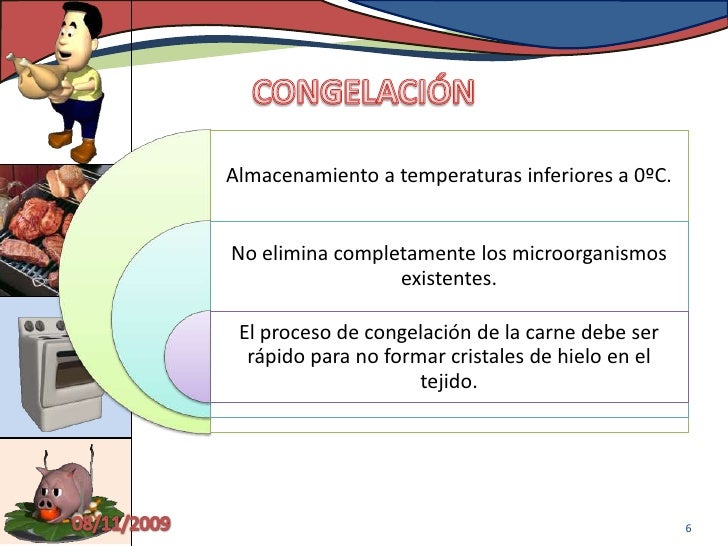Condiciones de transporte y almacenamiento de carnes en pie y procesa…