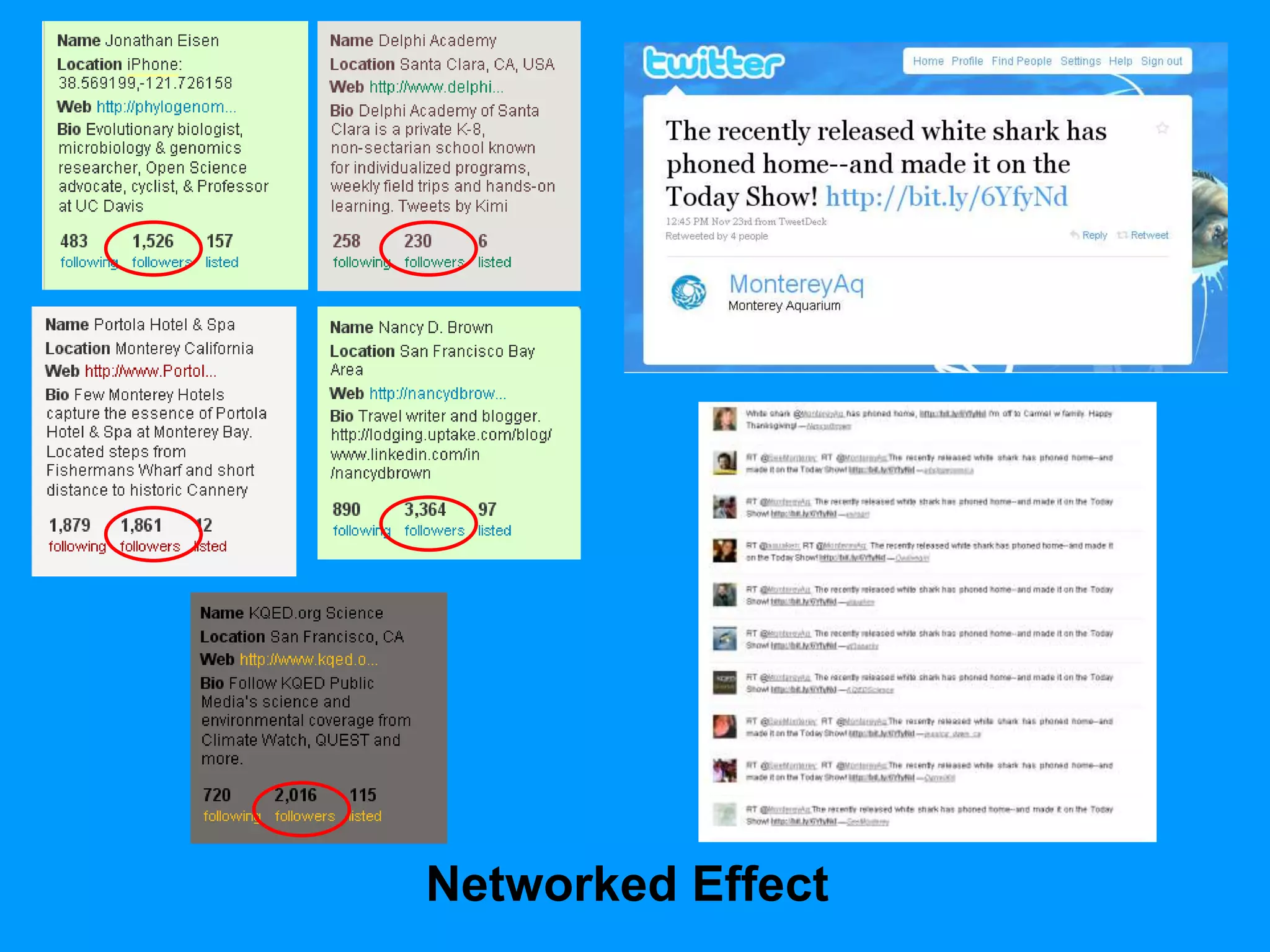 Twitter Drives Traffic to Web Sites