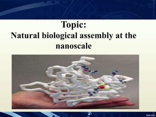 Topic:
Natural biological assembly at the
nanoscale
 