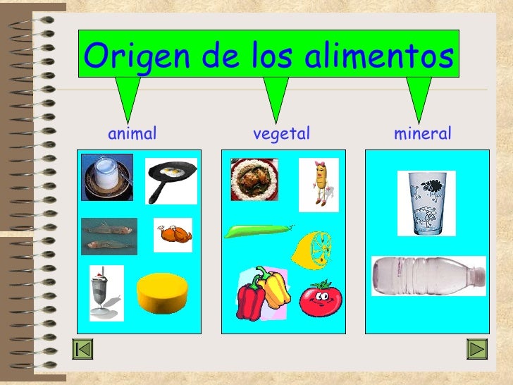 3 Ejemplos De Alimentos De Origen Mineral Imagui 3 Ejemplos De Alimentos De Origen Mineral Imagui