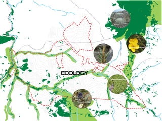 ECOLOGY 