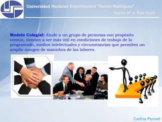 Carlina PernettUniversidad Nacional Experimental “Simón Rodríguez”Núcleo Nº 2: Palo VerdeLas OrganizacionesEs un sistema de actividades conscientemente coordinadas formado por dos o más personas.Carlina Pernett