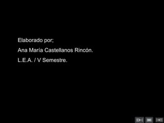 Elaborado por; Ana María Castellanos Rincón. L.E.A. / V Semestre. 