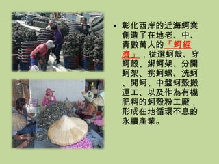 彰化西岸的近海蚵業創造了在地老、中、青數萬人的 「蚵經濟」 ，從選蚵殼、穿蚵殼、綁蚵架、分開蚵架、挑蚵螺、洗蚵、開蚵、中盤蚵殼搬運工、以及作為有機肥料的蚵殼粉工廠，形成在地循環不息的永續產業。 