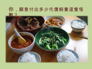 你 ，願意付出多少代價飼養這隻怪獸？ 