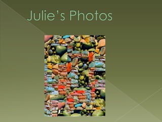 Julie’s Photos 