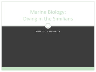 Nina Suthamjariya Marine Biology: Diving in the Similians 