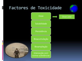 Factores de Toxicidade
               Dose           Dose Letal


           Solubilidade


            Persistência


          Bioacumulação


           Bioampliação

          Interacção com
         outras substâncias
 