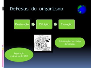 Defesas do organismo

    Destruição      Diluição     Excreção




                               Substituição das células
                                     danificadas



    Reparação
enzimática do DNA
 