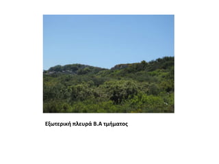 Εξωτερική πλευρά Β.Α τμήματος