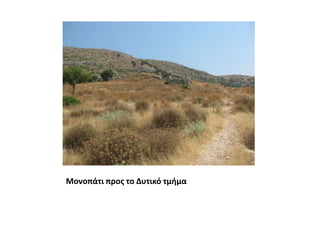 Μονοπάτι προς το Δυτικό τμήμα