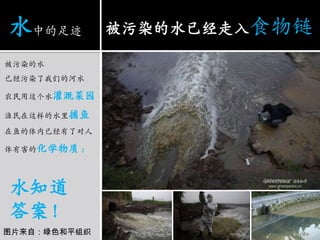 水中的足迹被污染的水已经走入食物链被污染的水已经污染了我们的河水农民用这个水灌溉菜园渔民在这样的水里捕鱼在鱼的体内已经有了对人体有害的化学物质：水知道答案！图片来自：绿色和平组织