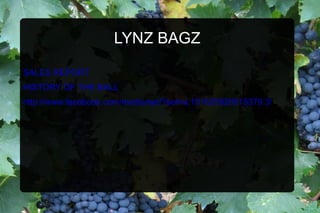 LYNZ BAGZ SALES REPORT