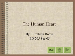 The Human Heart By: Elizabeth Boeve ED 205 Sec 05 Quit 