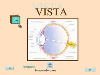 SENTIDOS
        Manuela González
 