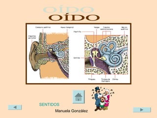 SENTIDOS
      Manuela González
 