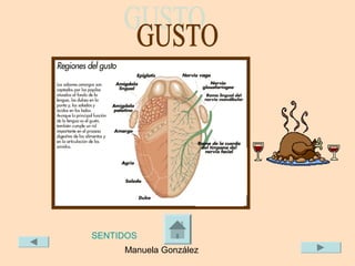 SENTIDOS
     Manuela González
 