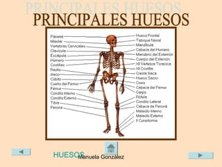 HUESOS
     Manuela González
 