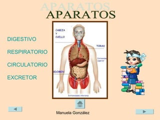 DIGESTIVO

RESPIRATORIO

CIRCULATORIO

EXCRETOR




               Manuela González
 