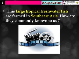     This large tropical freshwater fish
    are farmed in Southeast Asia. How are
    they commonly known to us ?
 
