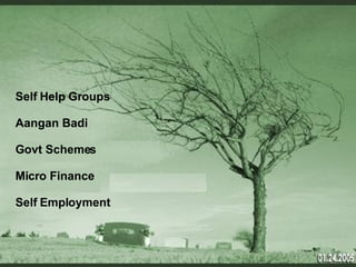 Self Help Groups Aangan Badi Govt Schemes Micro Finance Self Employment 