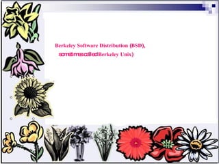 Berkeley Software Distribution  ( BSD ),  sometimes called  Berkeley Unix ) 
