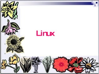 Linux   