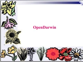OpenDarwin   