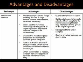 Advantages and Disadvantages
 