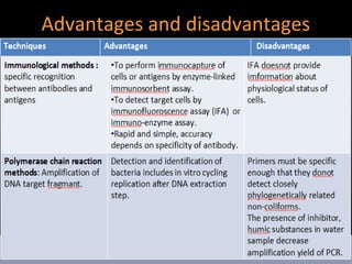 Advantages and disadvantages
 