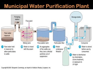 Municipal Water Purification Plant
 